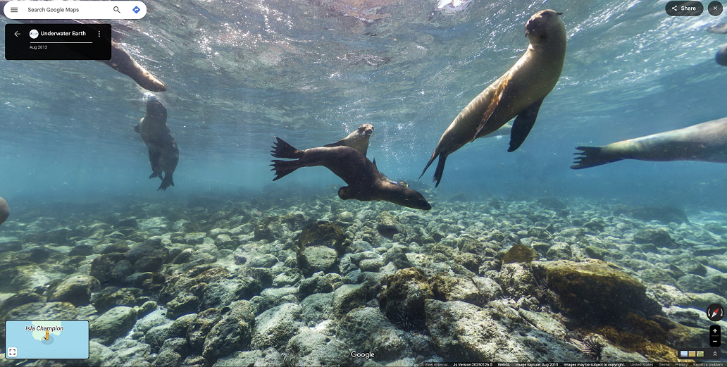 1738911207 Underwater Street View 2013