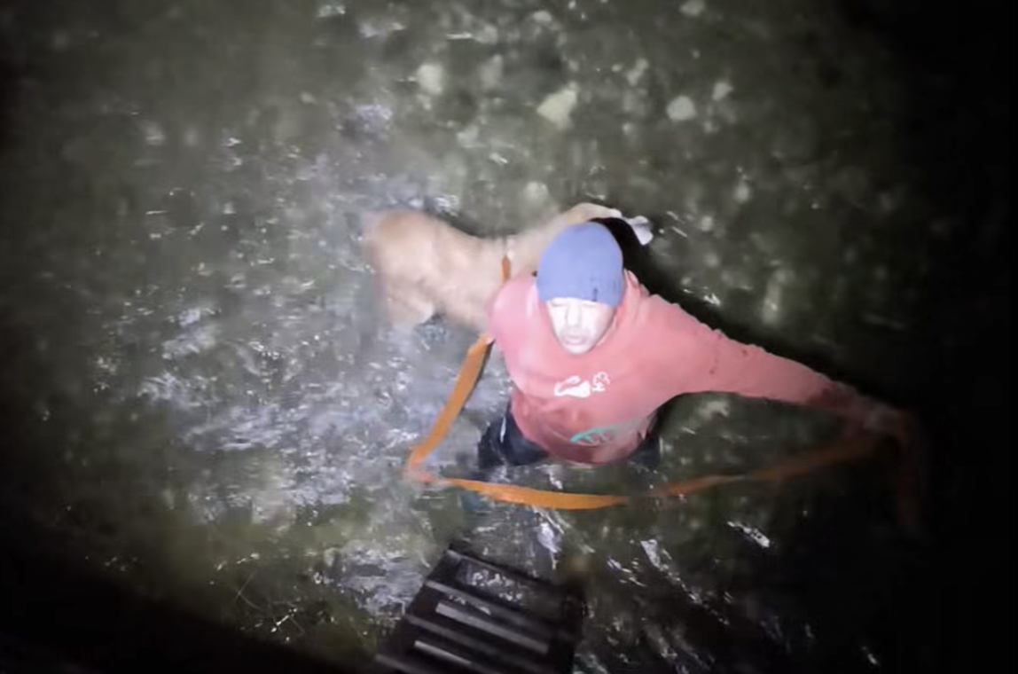 Ekran Resmi 2025 12 02 11.55.10