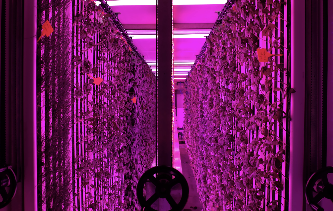 Ekran Resmi 2025 12 03 10.22.09