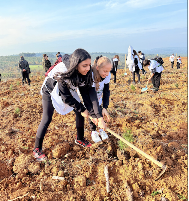 Ekran Resmi 2025 12 11 12.45.51