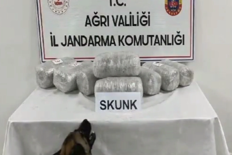 Ağrı'da 10 kilogram skunk ele geçirildi