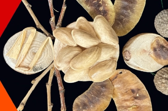 İzmit Oyuncak Müzesi'nde yaratıcı atölyeler sürüyor