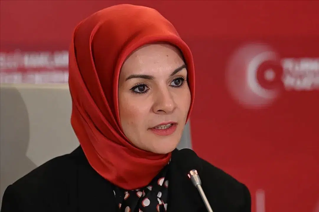 Aile Akademi Platformu'ndan 67 bin 754 kişi yararlandı