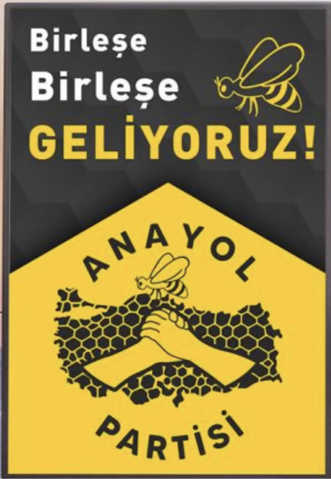 Anayol1