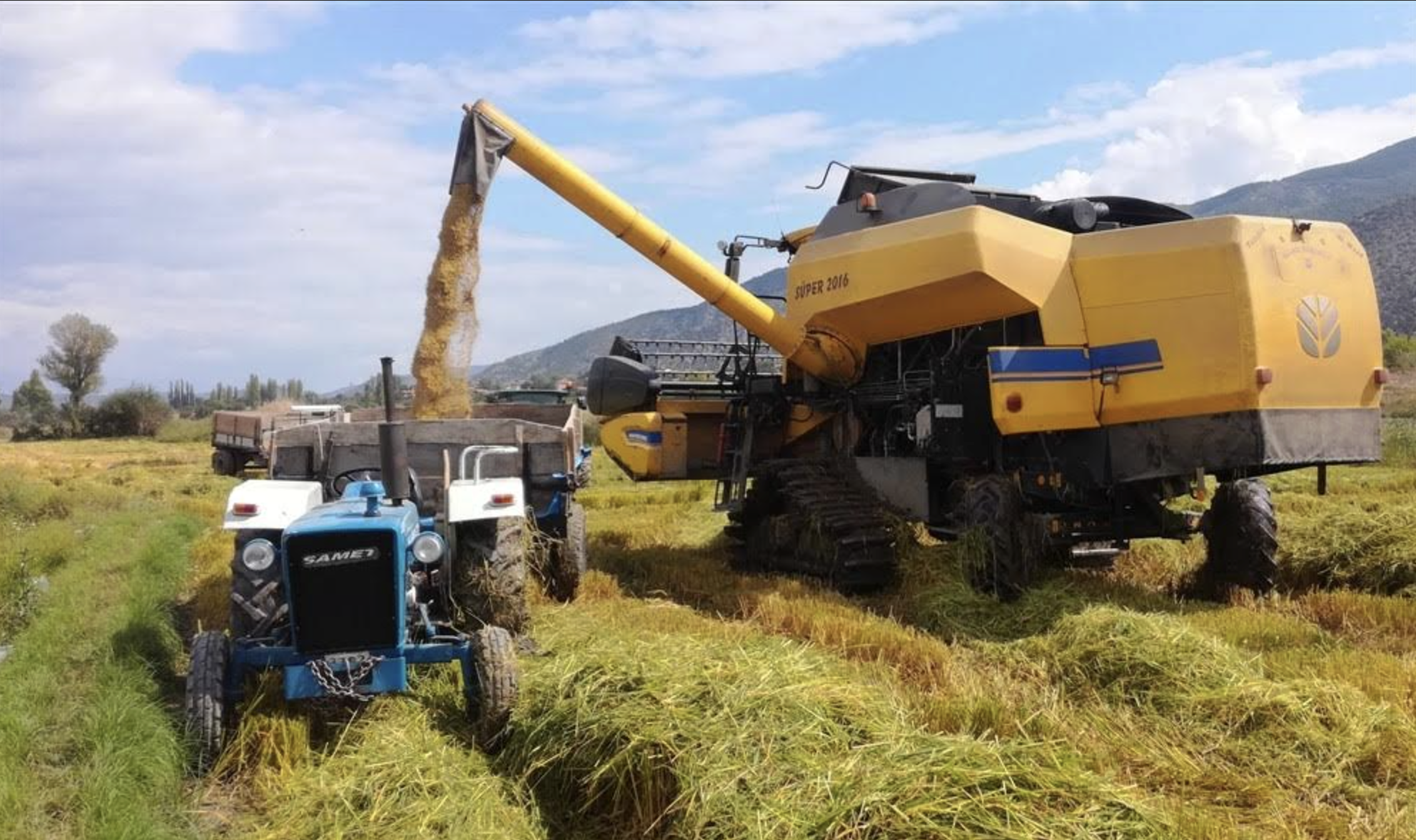 Ediz Ün: Türkiye’de Pirinç İthalatı 5 Kat Arttı