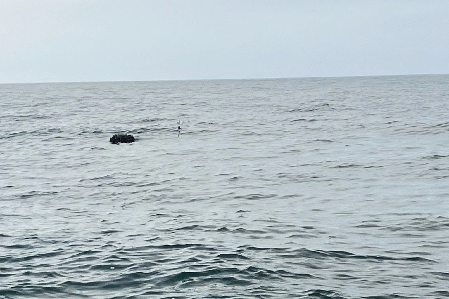 Karadeniz'deki şüpheli mayın SAS timlerince imha edildi!