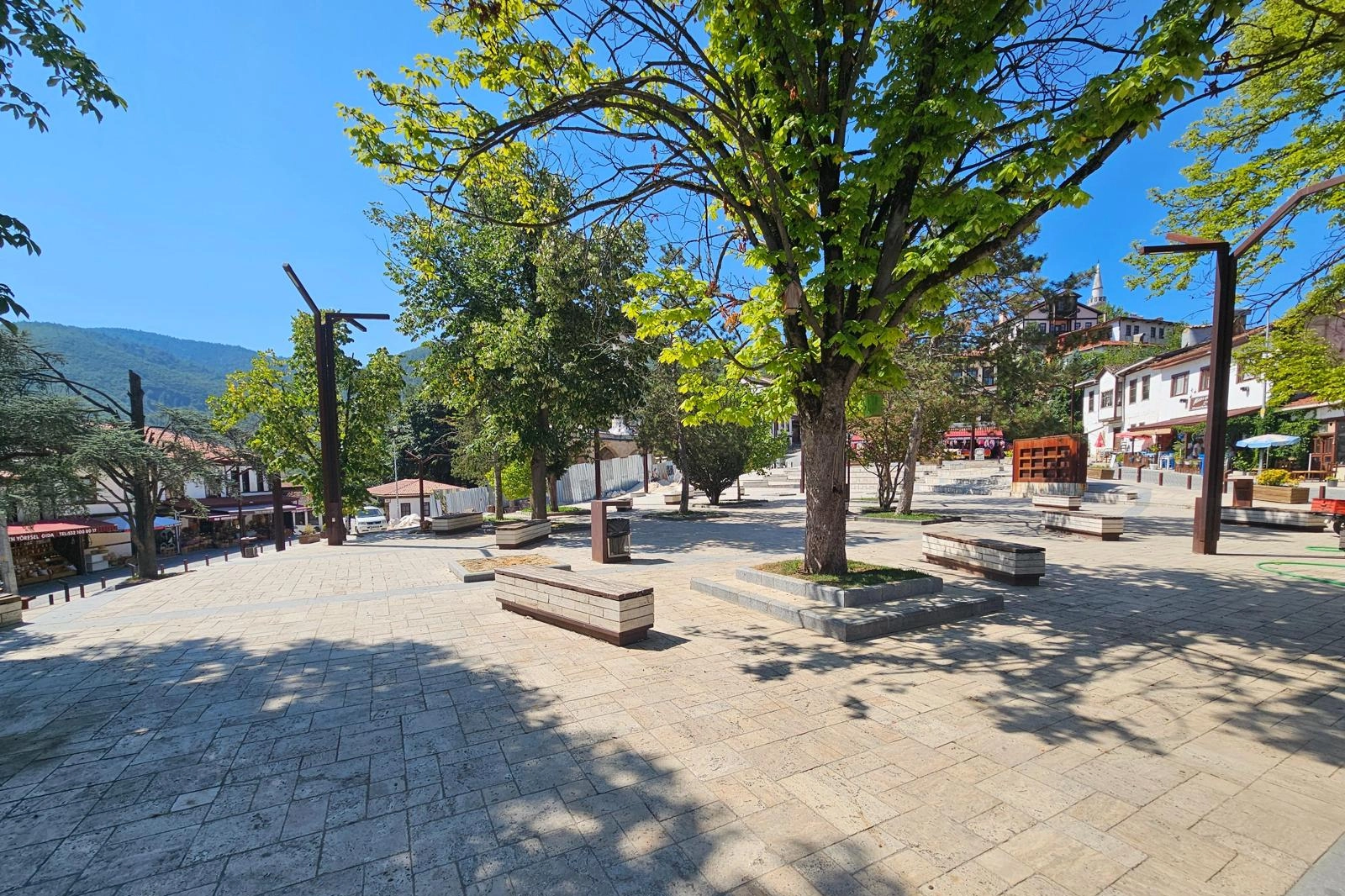 Sakarya Taraklı'da tarihi çınar yeniden hayat buluyor