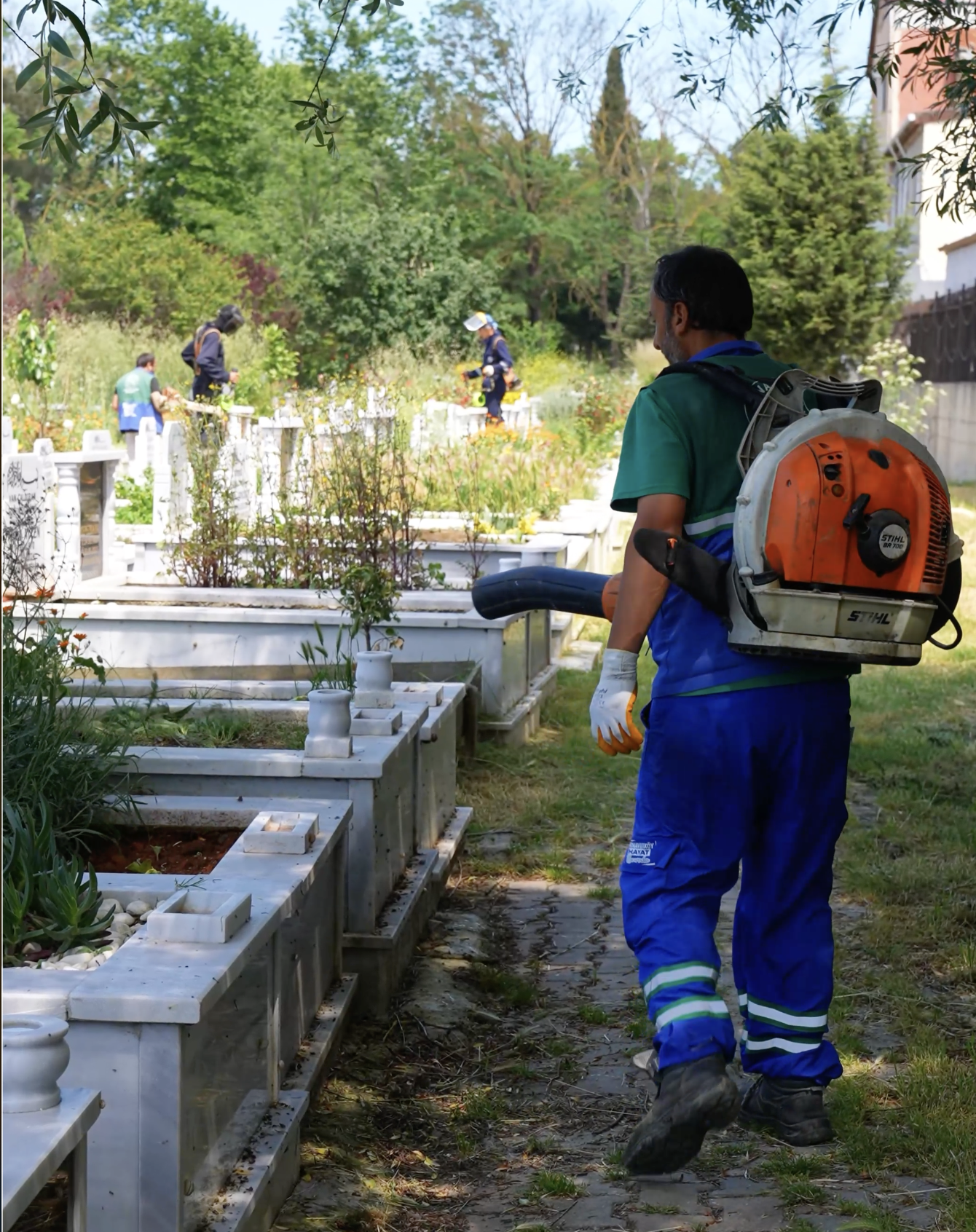 Arnavutköy Mezar Temizlik4