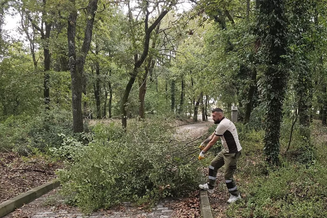 Kocaeli Gebze'deki mezarlıklarda yoğun mesai