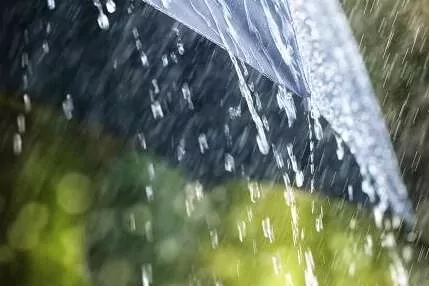Meteoroloji'den 3 il için kuvvetli yağış uyarısı
