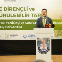 EKONOMİ