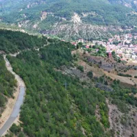 YAŞAM