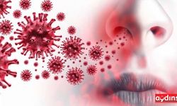 Koronavirüs Doğu Karadeniz'e saldırdı!