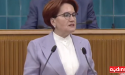 Akşener'den TÜİK açılımı(!) : Tayyip'i Üzmeyen İstatistik Kurumu!