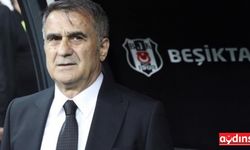 Beşiktaş, Şenol Güneş'e emanet