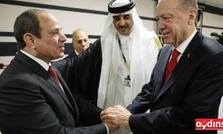 Erdoğan, Kadar'da Liderlerle görüştü, Türkiye'de tepki var