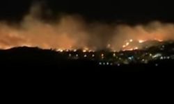 İzmir Dikili'de korkutan yangın