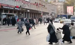 Bursa’da ‘yaya’ sorunu! Adeta araçların önüne atlıyorlar