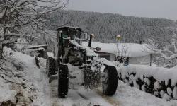 Artvin'de hayat durdu!.. Kar 125 köye ulaşımı kesti!