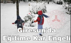 Kar yağışı Giresun'da da etkili oldu, bazı ilçelerde eğitime ara verildi