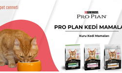 Proplan Kedi Maması ile Kedinizin Sağlığına Özel Bakım