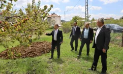 Bursa'dan 'zirai don' mağduru çiftçiye destek