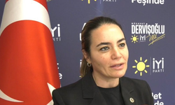 Ayyüce Türkeş’e babası Alparslan Türkeş'in kabir ziyaretinde saldırı