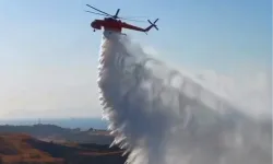 İzmir Aliağa'daki orman yangını kontrol altına alındı