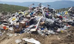 İzmir Büyükşehir'e 9,3 milyon TL çevre cezası