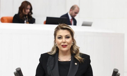 Milletvekili E. Işık Gezmiş: Giresun Sahil Yolu alarm veriyor.