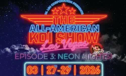 All American Koi Show 2026 yarışması Las Vegas'a dönüyor