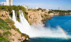 Antalya'da deniz ekosistemi için Yapay Resif Projesi