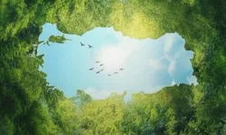 Burhanettin Duran'dan Çanakkale'de hatıra ormanı paylaşımı