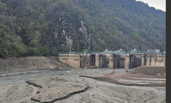 Giresun Harşit Çayı'nda Zehir Alarmı..