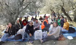 Birlikte Hasat Zamanı; Birlikte zeytin topladılar...