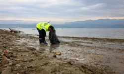 Sapanca Gölü'nde ekosistemi koruyan kıyı temizliği