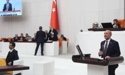 SP'li Milletvekili Atmaca, Nilüfer Çayı'nın kirliliği TBMM'ye taşıdı