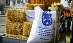Ankara'da mandacılara yüzde yüz hibeli yem desteği