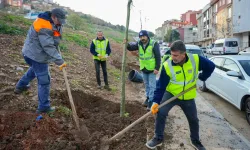 İstanbul Maltepe'de Zümrütevler'in parkları geri dönüşümle yenileniyor