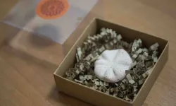 İzmir Bornova'nın 8 bin 500 yıllık hafızası gün yüzünde