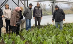 Kocaeli'de 65 yaş üstü bireyler tarımsal üretime katıldı