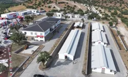 Manisa Şehzadeler'de Sarıalan kapatılıyor, nakil başlıyor