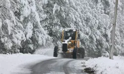 Sakarya'da kar alarmı