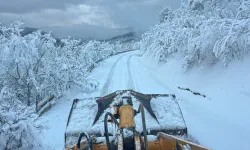 Sakarya'da karla mücadele: 31 yol açıldı