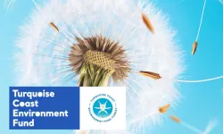 TCEF 2026 Hibe Programı'na son başvuru 25 Ocak 2026