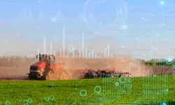 TÜİK 2025 bitkisel üretim verilerini açıkladı... Üretimde genel düşüş yaşandı