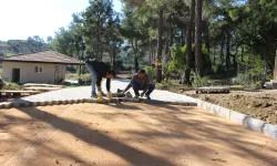 Antalya Manavgat'ta mezarlıklarda çalışma