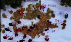 Ilgaz Dağı'na yüzlerce kilo yem bırakıldı