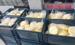 Ordu'da zabıta ekiplerinden şok gıda denetimi! Yarım ton yağa el konuldu