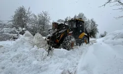 Trabzon'da kar yağışı sonrası 70 mahalle yolu açıldı